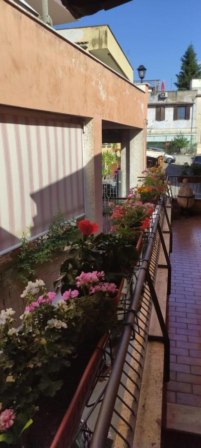 Elisa E Carla House Beautiful Apartments On The Cassia 로마 외부 사진